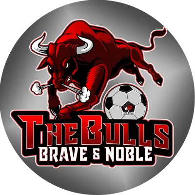 logooficialthebulls400x.png